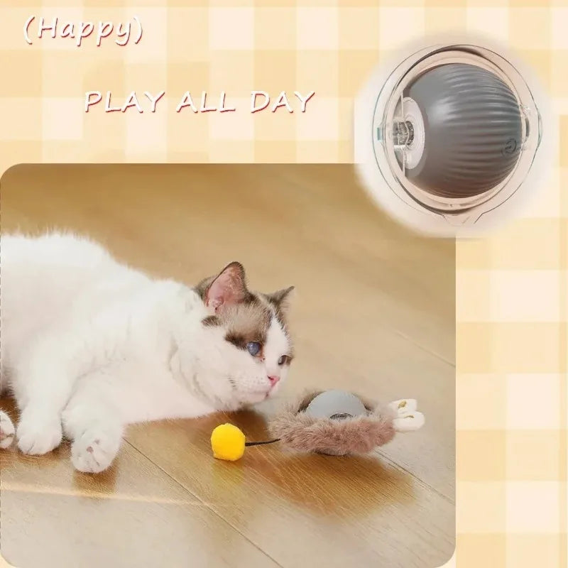 Kitty-Kay Smart Motion Cat Ball™ Keep Your Cat Happy — Even When You're Not Home
