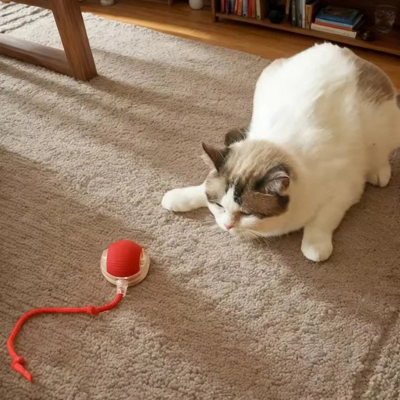 Kitty-Kay Smart Motion Cat Ball™ Keep Your Cat Happy — Even When You're Not Home